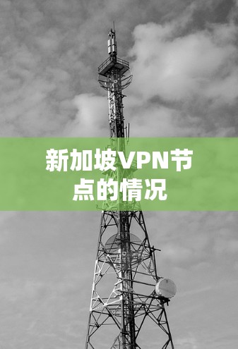 新加坡VPN节点的情况 新加坡VPN节点的情况