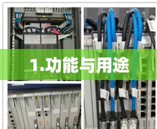 1.功能与用途 1.功能与用途