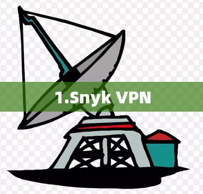 1.Snyk VPN 1.Snyk VPN