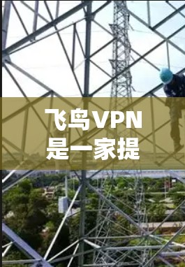 飞鸟VPN是一家提供全球范围内的VPN服务的公司。如果你需要访问全球网络，可以使用飞鸟VPN来实现。以下是关于飞鸟VPN的一些关键信息