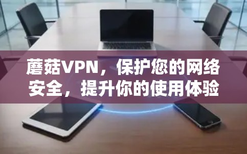 蘑菇VPN,保护您的网络安全,提升你的使用体验 蘑菇VPN,保护您的网络安全,提升你的使用体验