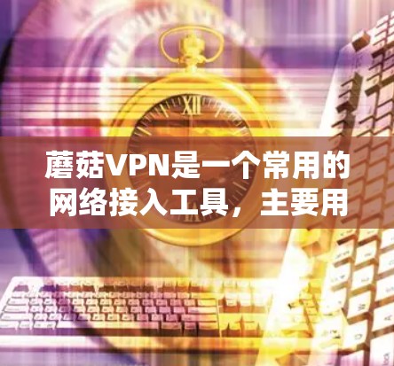 蘑菇VPN是一个常用的网络接入工具,主要用于访问互联网。以下是使用蘑菇VPN进行网络连接的教程 蘑菇VPN是一个常用的网络接入工具,主要用于访问互联网。以下是使用蘑菇VPN进行网络连接的教程