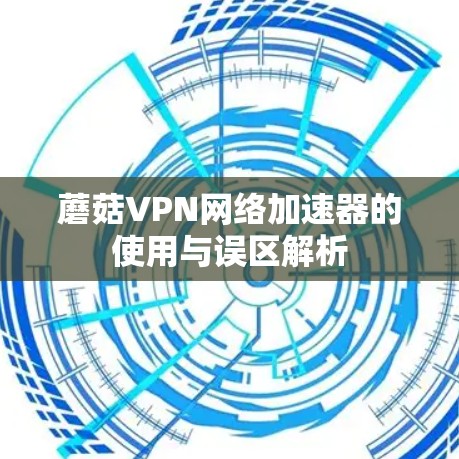 蘑菇VPN网络加速器的使用与误区解析 蘑菇VPN网络加速器的使用与误区解析