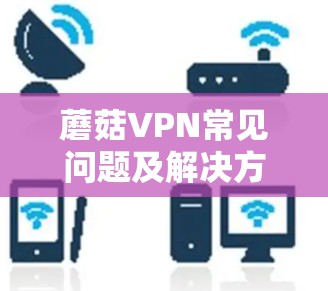 蘑菇VPN常见问题及解决方案 蘑菇VPN常见问题及解决方案