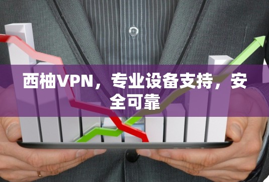 西柚VPN,专业设备支持,安全可靠 西柚VPN,专业设备支持,安全可靠