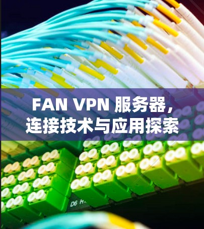 FAN VPN 服务器,连接技术与应用探索 FAN VPN 服务器,连接技术与应用探索