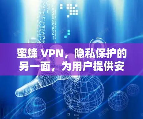 蜜蜂 VPN，隐私保护的另一面，为用户提供安全可靠的VPN体验