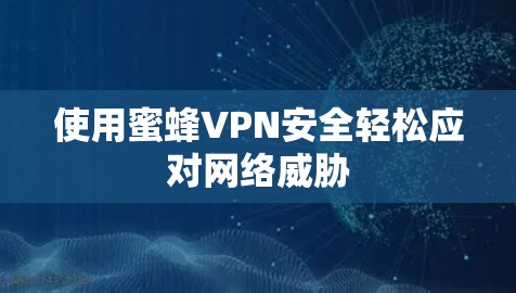 使用蜜蜂VPN安全轻松应对网络威胁