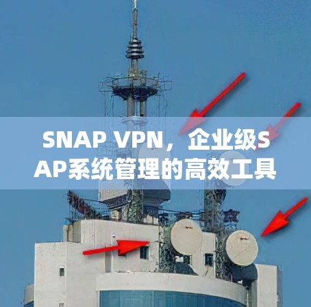 SNAP VPN，企业级SAP系统管理的高效工具