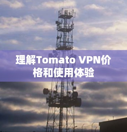理解Tomato VPN价格和使用体验