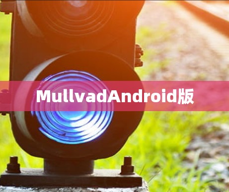 MullvadAndroid版
