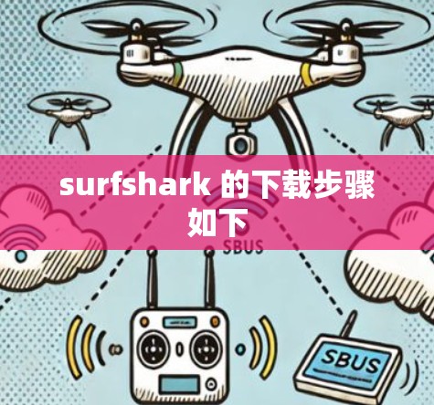 surfshark 的下载步骤如下