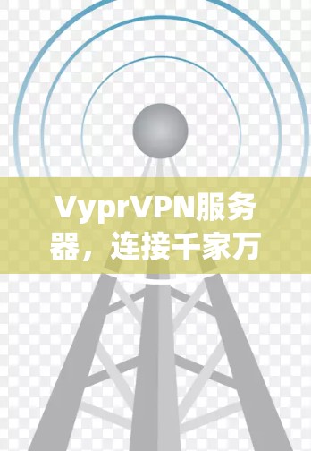 VyprVPN服务器，连接千家万户的可靠加密通道