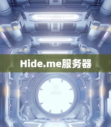 Hide.me服务器