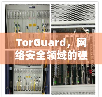 TorGuard，网络安全领域的强大解决方案