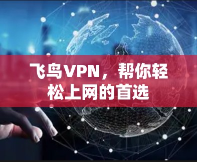 飞鸟VPN，帮你轻松上网的首选