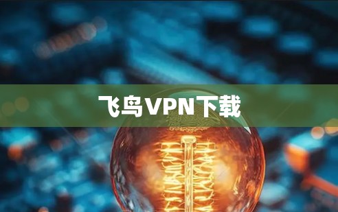 飞鸟VPN下载