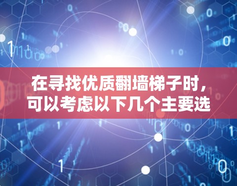在寻找优质翻墙梯子时，可以考虑以下几个主要选项