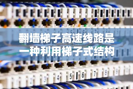 翻墙梯子高速线路是一种利用梯子式结构翻墙连接到高速公路的技术，旨在优化交通和节省建设成本。以下是对该概念的详细分析