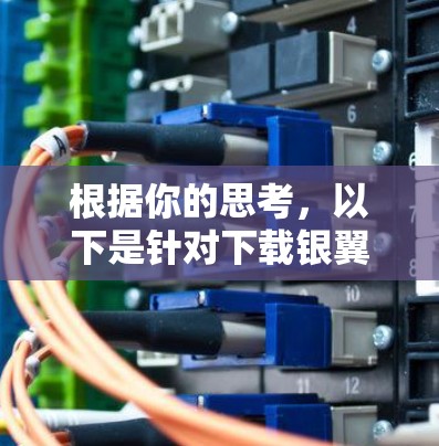 根据你的思考，以下是针对下载银翼加速器的建议