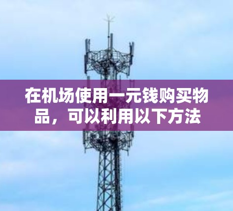 在机场使用一元钱购买物品，可以利用以下方法
