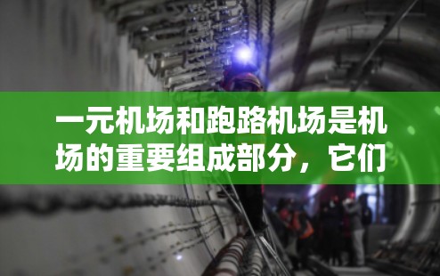 一元机场和跑路机场是机场的重要组成部分，它们各有优缺点，取决于您的需求和偏好。以下是对两者的区别及推荐的详细说明