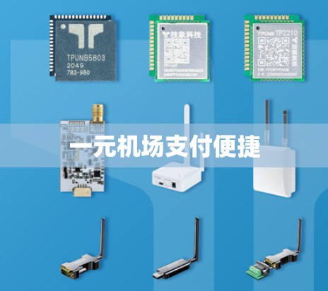 一元机场支付便捷