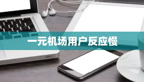 一元机场用户反应慢