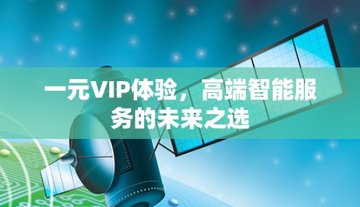 一元VIP体验，高端智能服务的未来之选