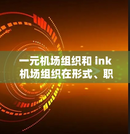 一元机场组织和 ink 机场组织在形式、职责、灵活性和信息管理等方面存在显著差异，以下是详细的对比分析
