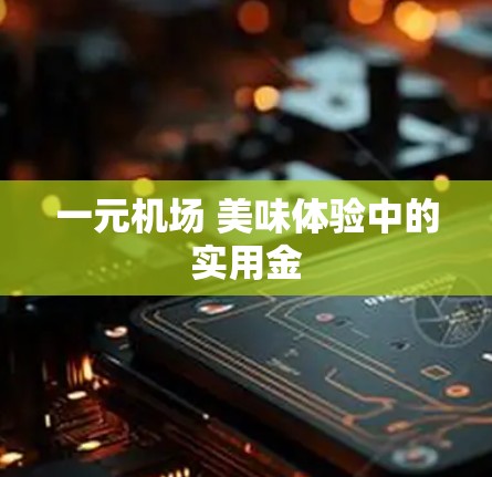 一元机场 美味体验中的实用金