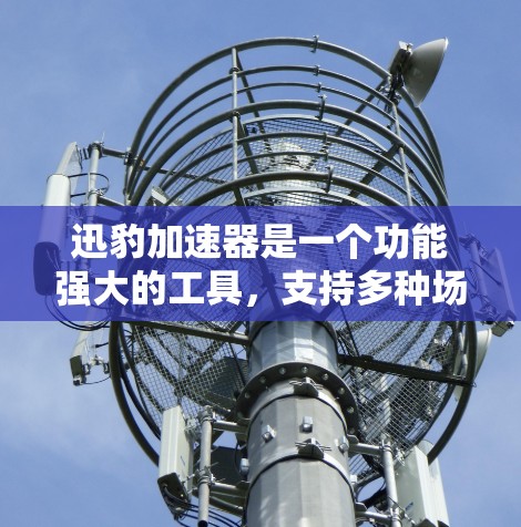 迅豹加速器是一个功能强大的工具，支持多种场景的加速，包括网页优化、视频下载、聊天软件、云服务、搜索优化和游戏加速等。以下是迅豹加速器的一些主要节点推荐，根据不同的应用场景和需求来分类