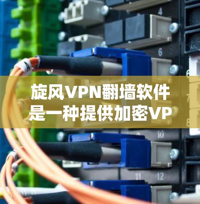旋风VPN翻墙软件是一种提供加密VPN服务的工具，允许用户在非公开的网络上进行视频、文件等的传输。以下是对该软件的详细分析