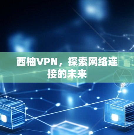 西柚VPN，探索网络连接的未来