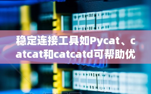 稳定连接工具如Pycat、catcat和catcatd可帮助优化连接管理，减少资源消耗。以下是详细的使用指南
