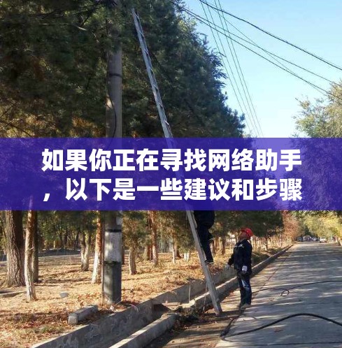 如果你正在寻找网络助手，以下是一些建议和步骤，帮助你找到最适合你的服务