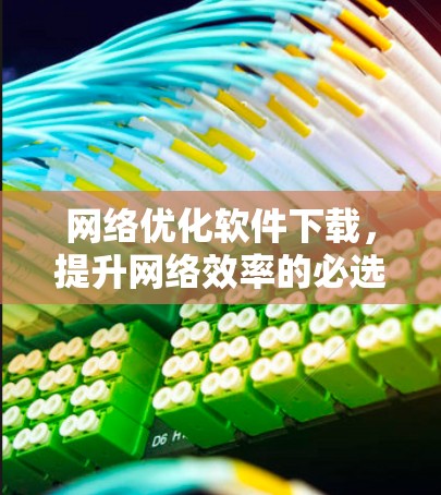 网络优化软件下载，提升网络效率的必选工具