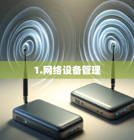 1.网络设备管理