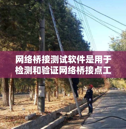 网络桥接测试软件是用于检测和验证网络桥接点工作状态的工具，帮助识别和修复连接问题。以下是对这些软件的详细分析和建议