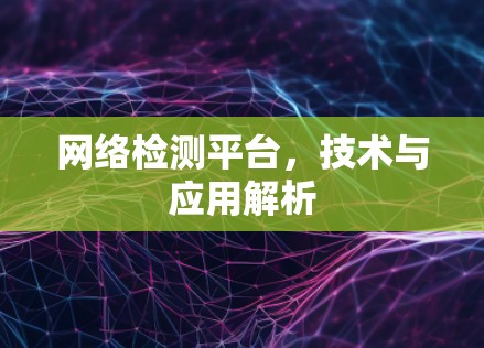 网络检测平台，技术与应用解析
