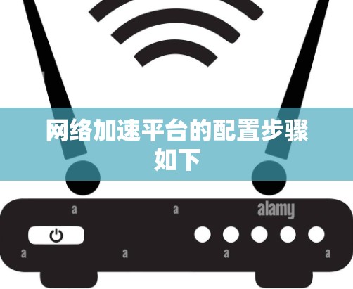 网络加速平台的配置步骤如下
