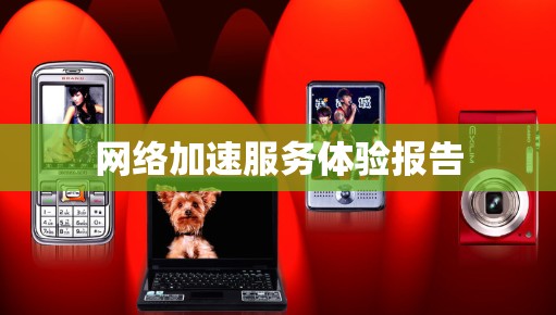 网络加速服务体验报告