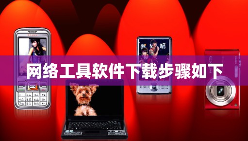 网络工具软件下载步骤如下