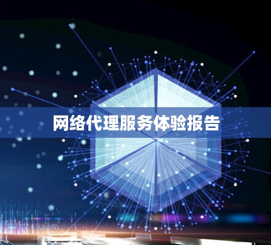 网络代理服务体验报告
