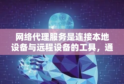 网络代理服务是连接本地设备与远程设备的工具，通常用于多种场景，如远程办公、远程培训和远程监控。以下是对网络代理服务使用体验的详细总结
