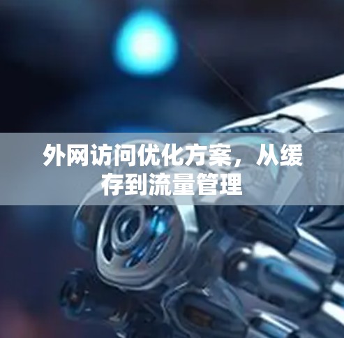 外网访问优化方案，从缓存到流量管理