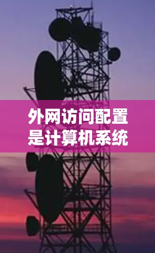 外网访问配置是计算机系统中的一部分，用于管理用户、程序和其他设备在外部网络上的访问权限。以下是一个外网访问配置的教程，涵盖常见的配置项目