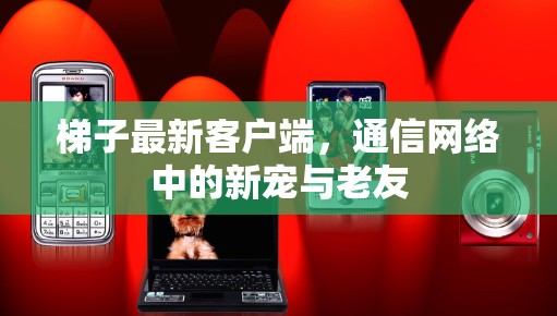 梯子最新客户端，通信网络中的新宠与老友