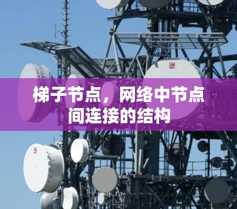 梯子节点，网络中节点间连接的结构