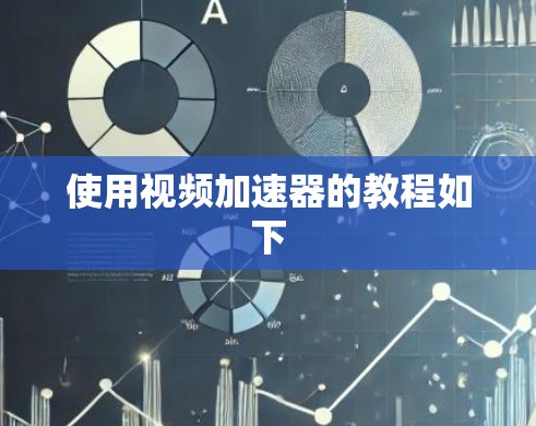 使用视频加速器的教程如下